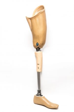 Lower limb prostheses
